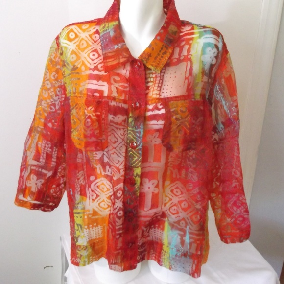 erin london Tops - Erin Rainbow Burnout Sheer Blouse 2X Festival